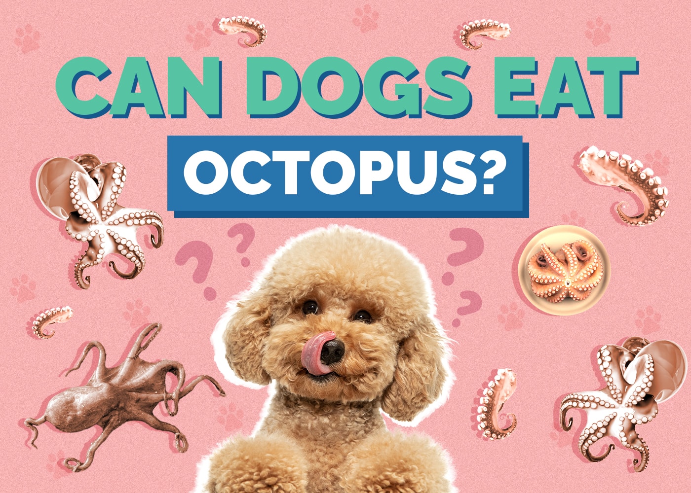 Can Dogs Eat Octopus
