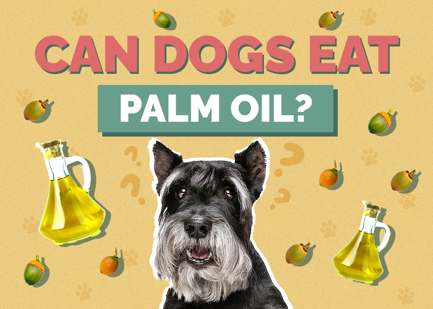 Can Dogs Eat Palm Oil
