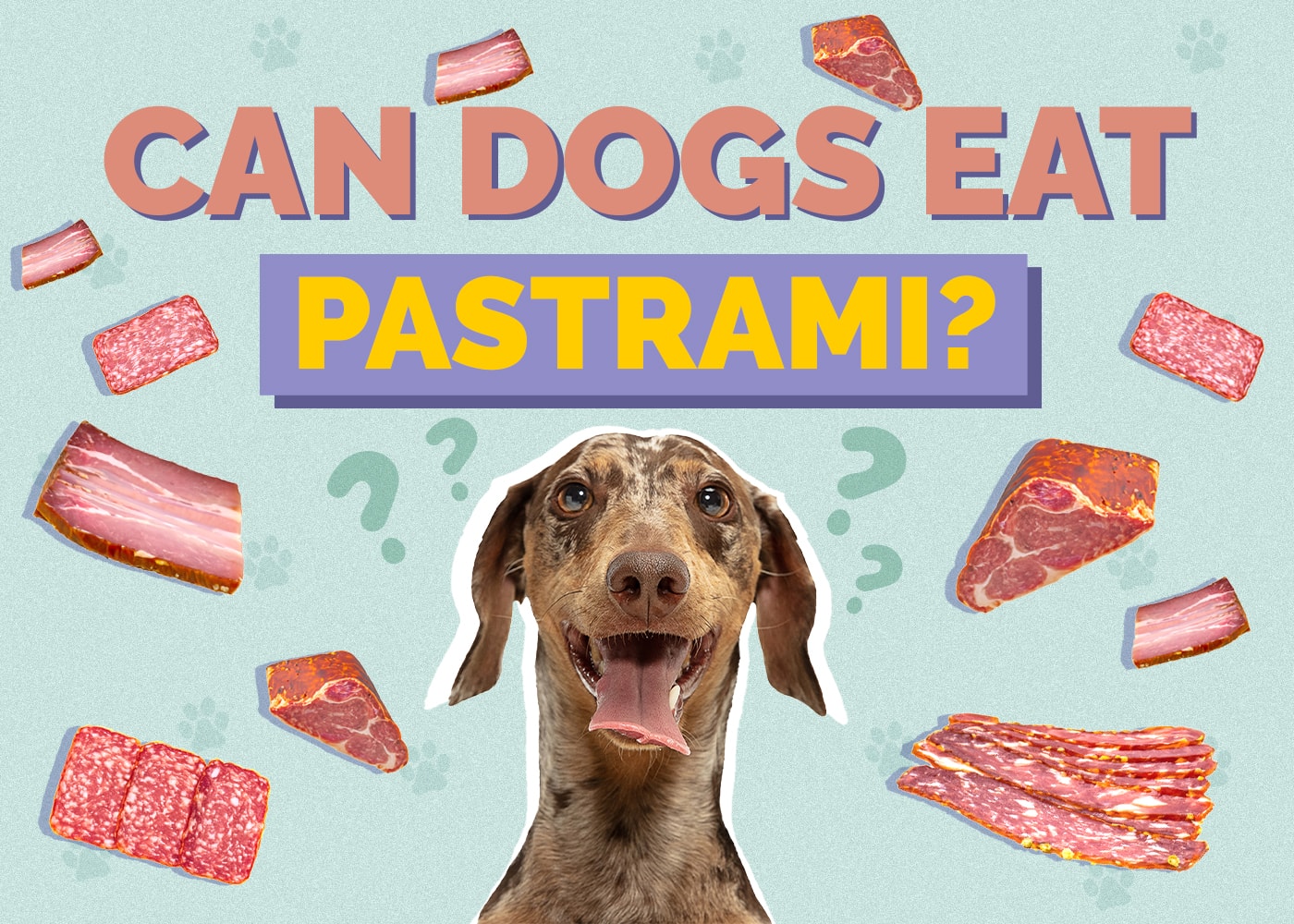 Can Dogs Eat Pastrami