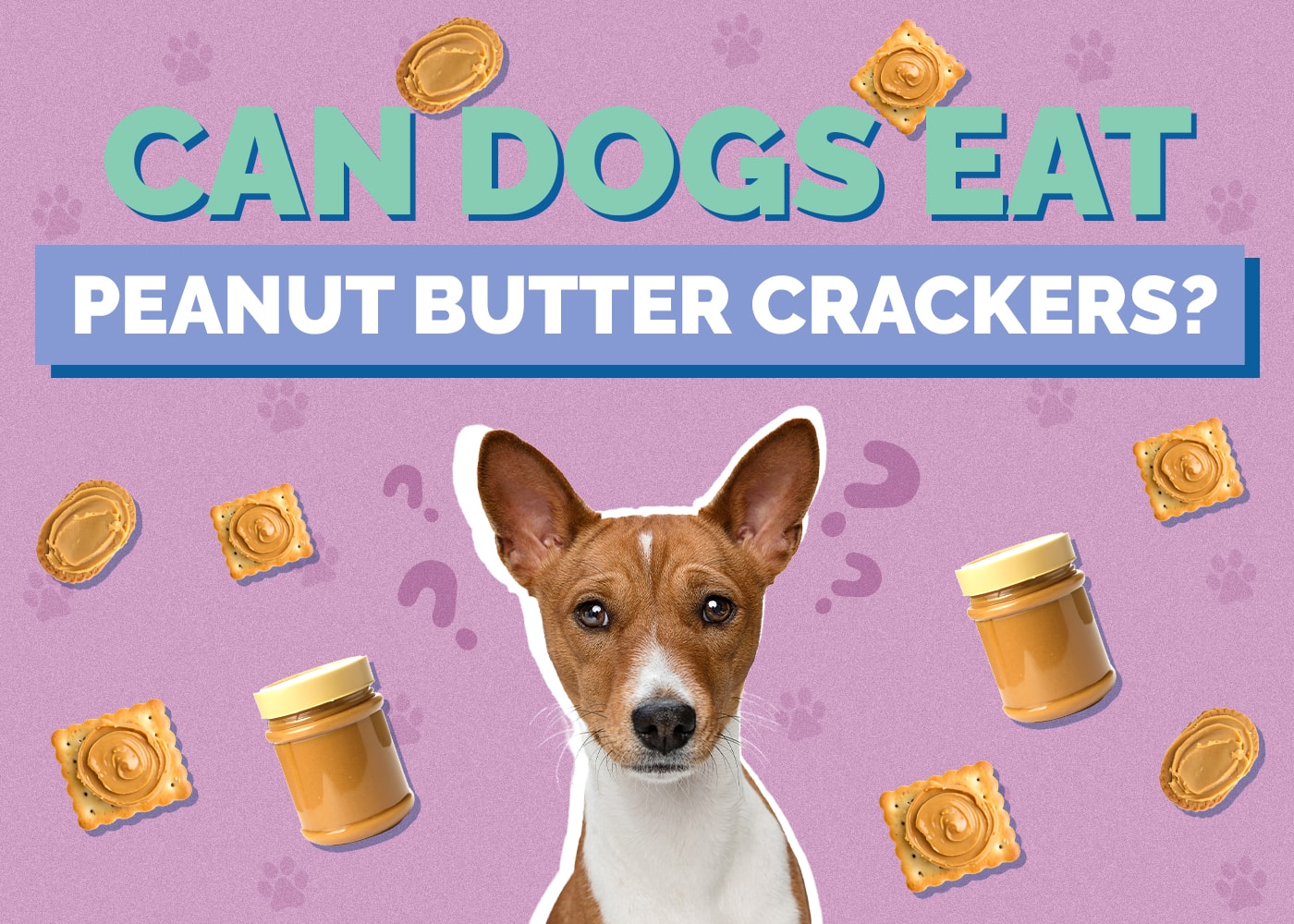 Can Dogs Eat Peanut Butter Crackers Vet Reviewed Dietary Guidance preview