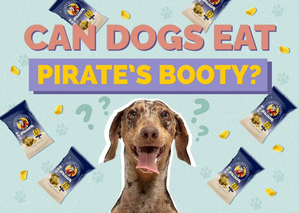 Can Dogs Eat Pirate’s Booty