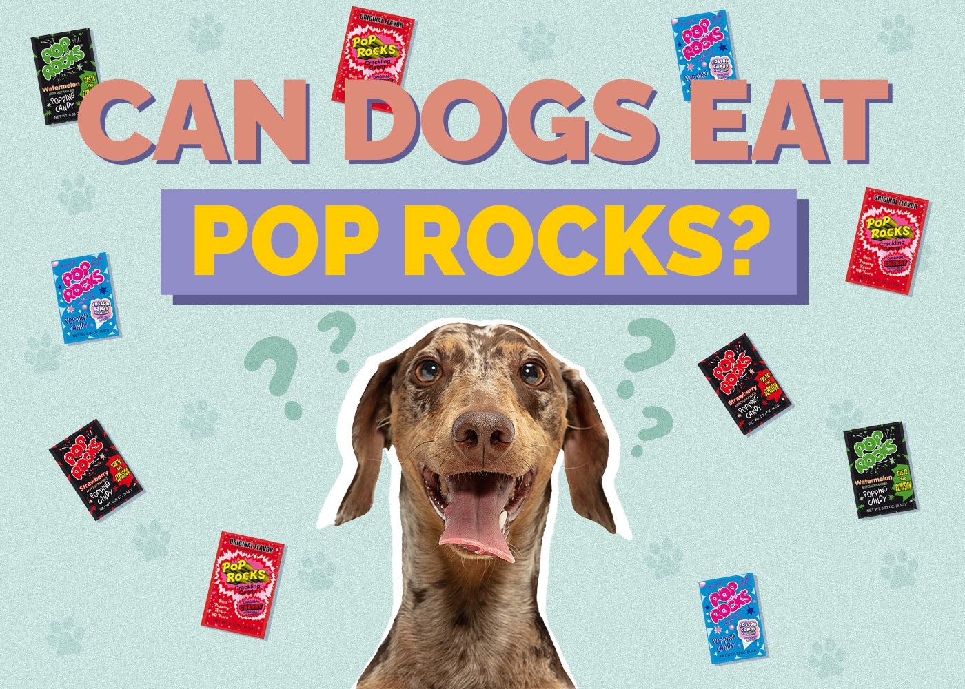 Can Dogs Eat Pop Rocks
