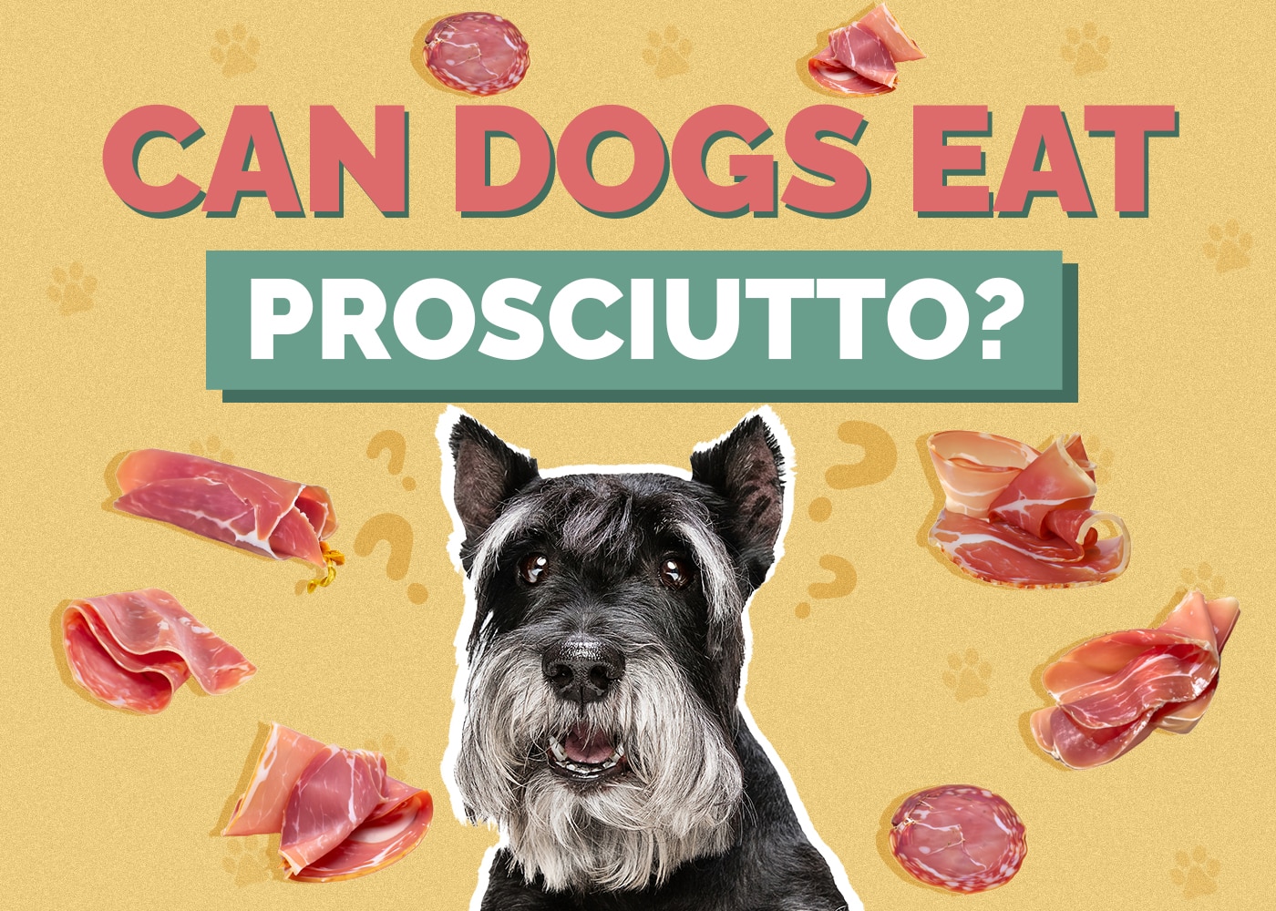 Can Dogs Eat Prosciutto