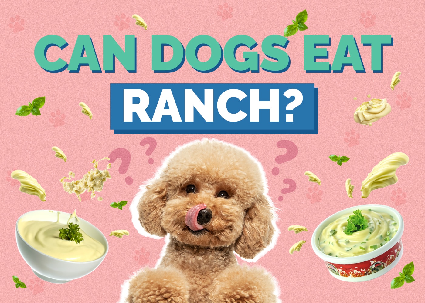 Can Dogs Eat Ranch