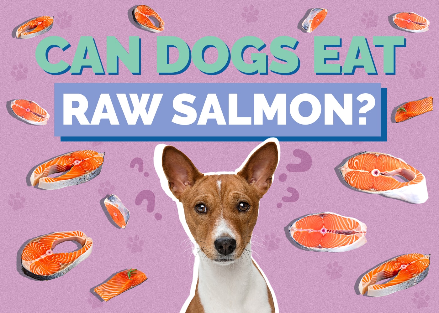 Can Dogs Eat Raw Salmon