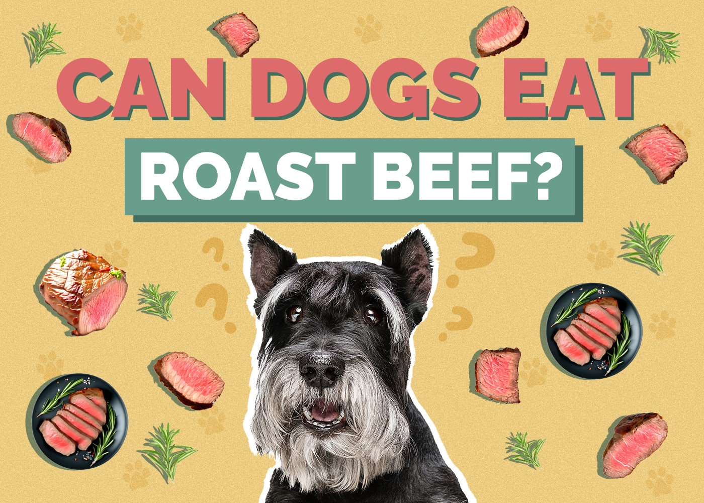 Can Dogs Eat Roast Beef