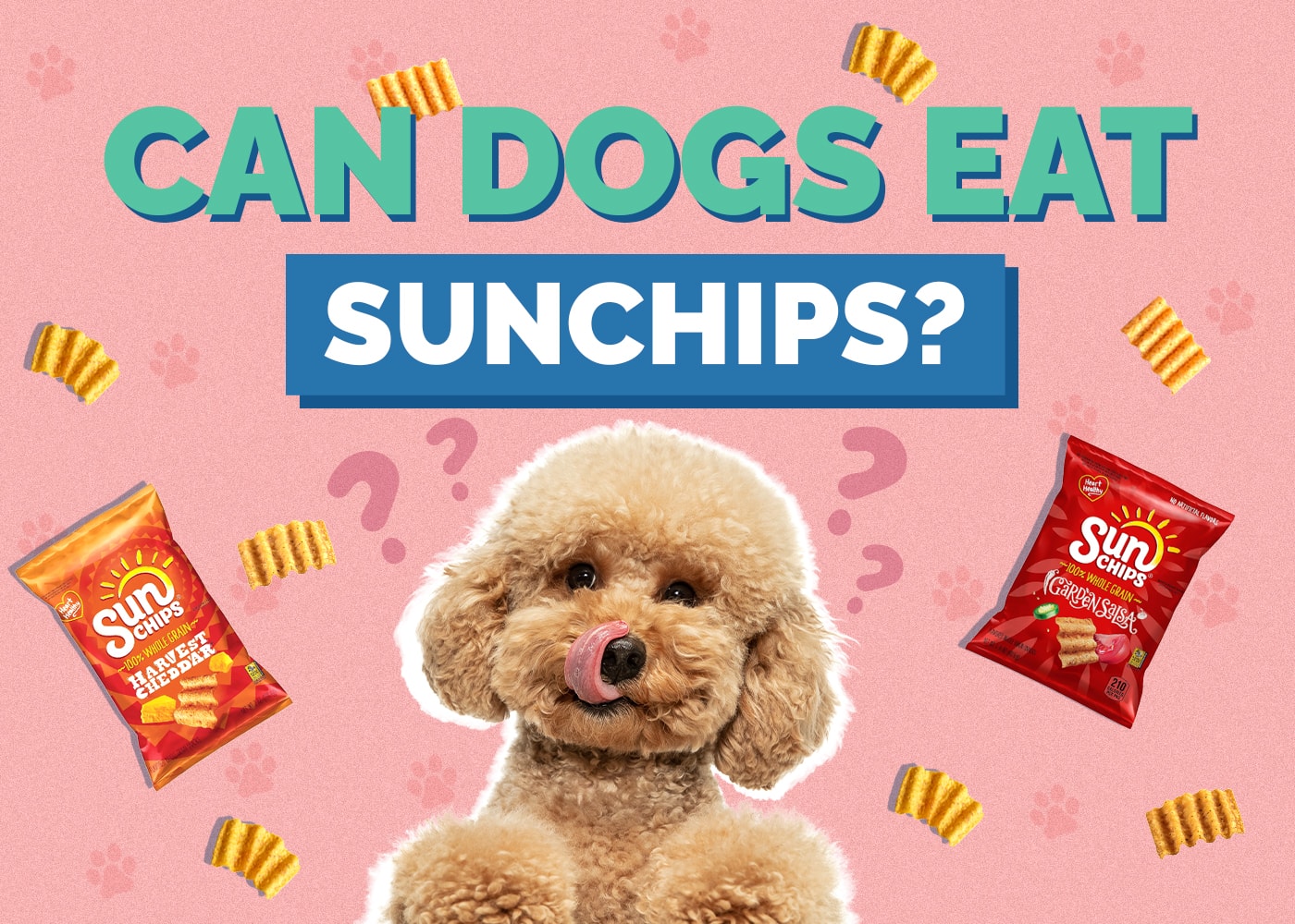 Can Dogs Eat SunChips