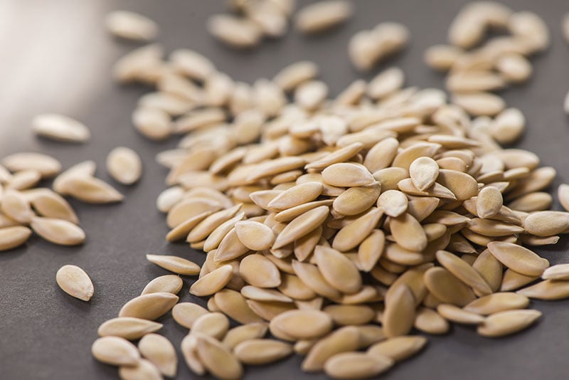 cantaloup seeds on gray background
