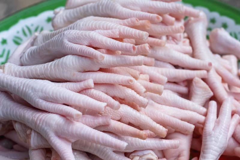 raw chicken feet pile close up