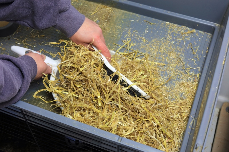 cleaning small pet beddings