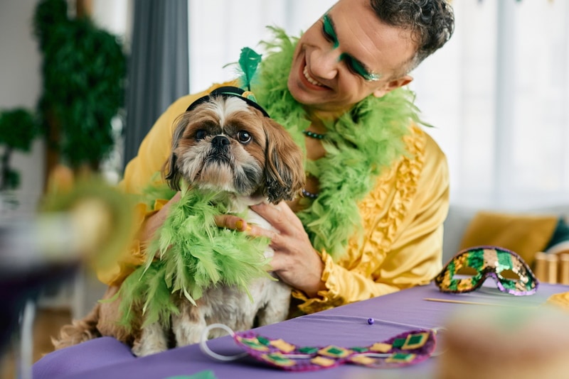 dog and his owner wearing costume