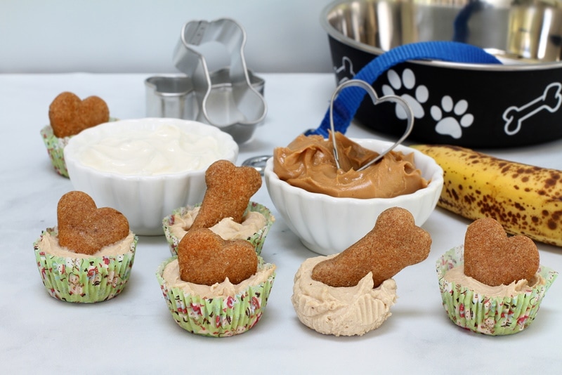 home made dog treats on the table