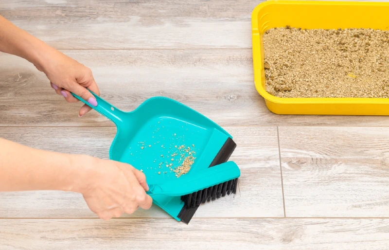person sweeping dry litter on the floor from cat litter box with a brush and dust pan
