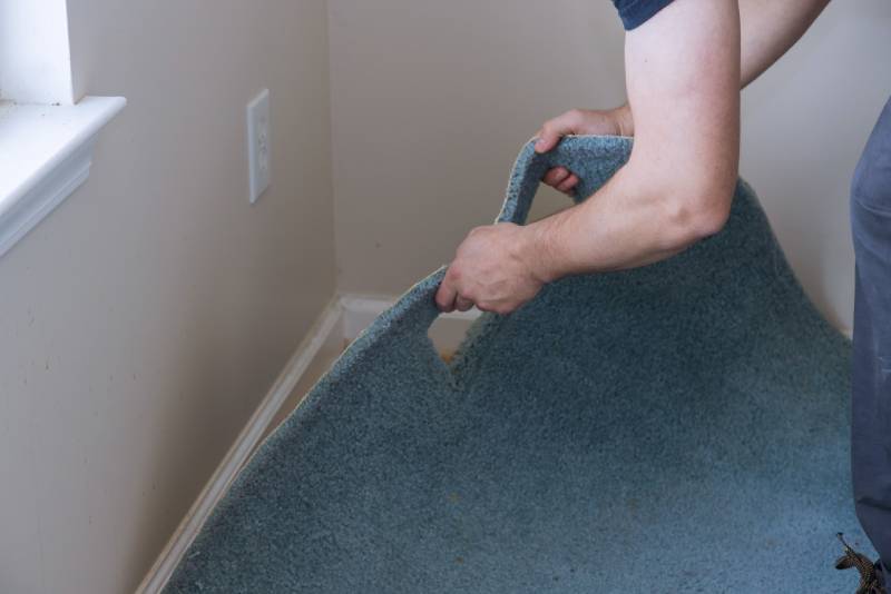 professional worker with removing a carpet for renovation works in a living room