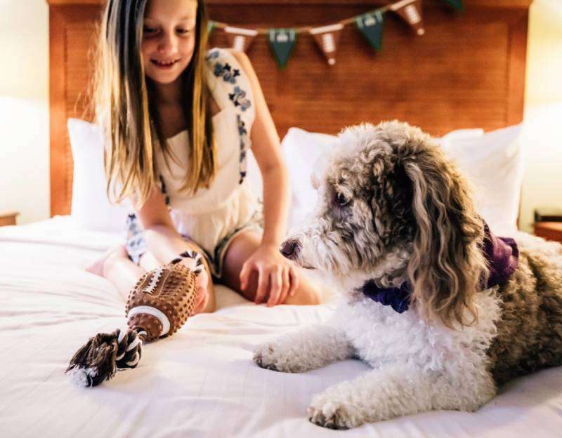 voco St. James Hotel