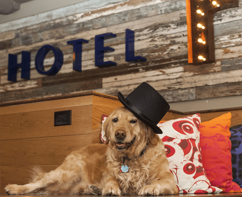 America's Best Value Inn Tupelo