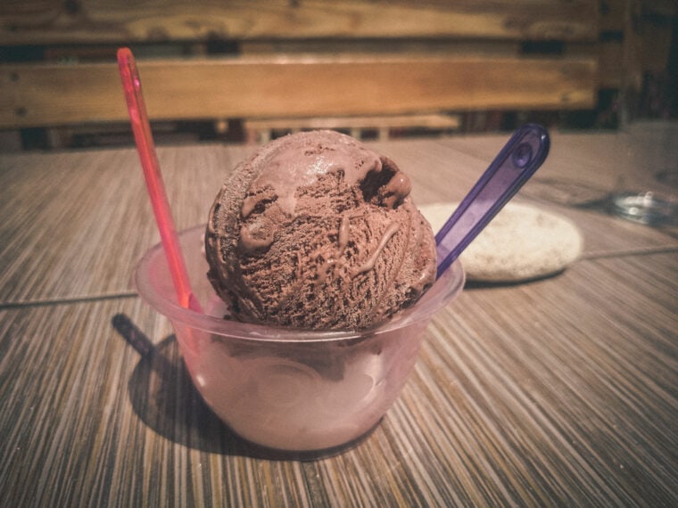Can Dogs Eat Chocolate Ice Cream? Vet Approved Facts & FAQ | Hepper Pet ...