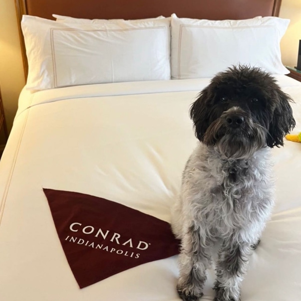 Conrad Indianapolis