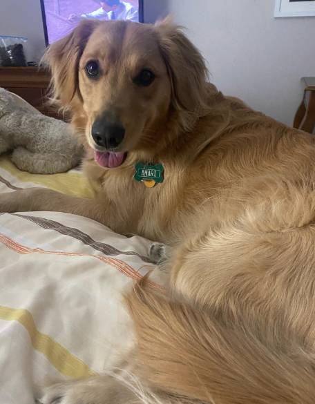 Country Inn & Suites by Radisson Winchester