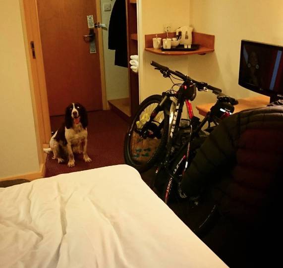 Days Inn by Wyndham Winchester