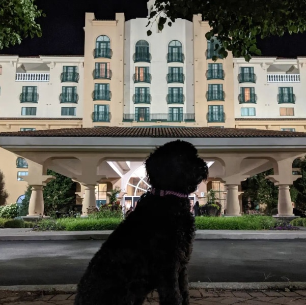 Embassy Suites by Hilton Indianapolis North