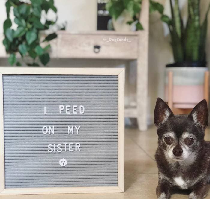 Even more sibling love?