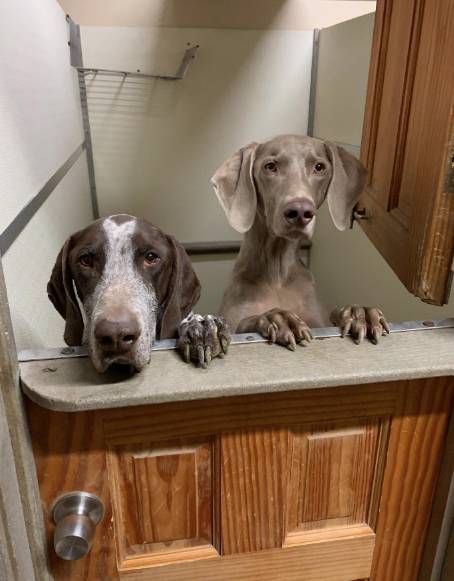 Hampton Inn Winchester N_Conference Center