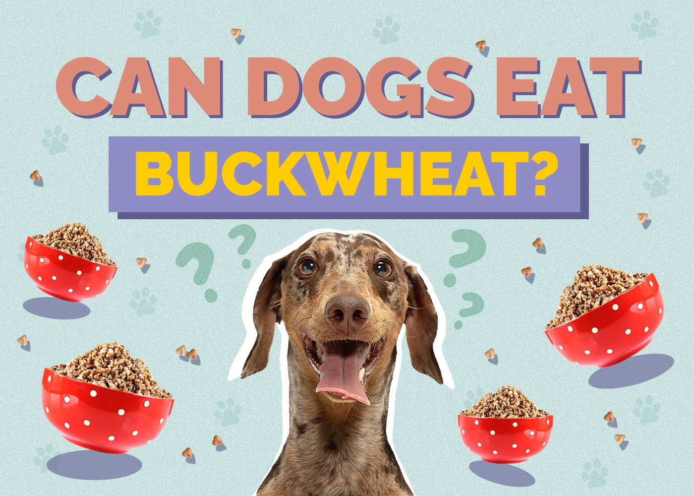 Can Dogs Eat Buckwheat