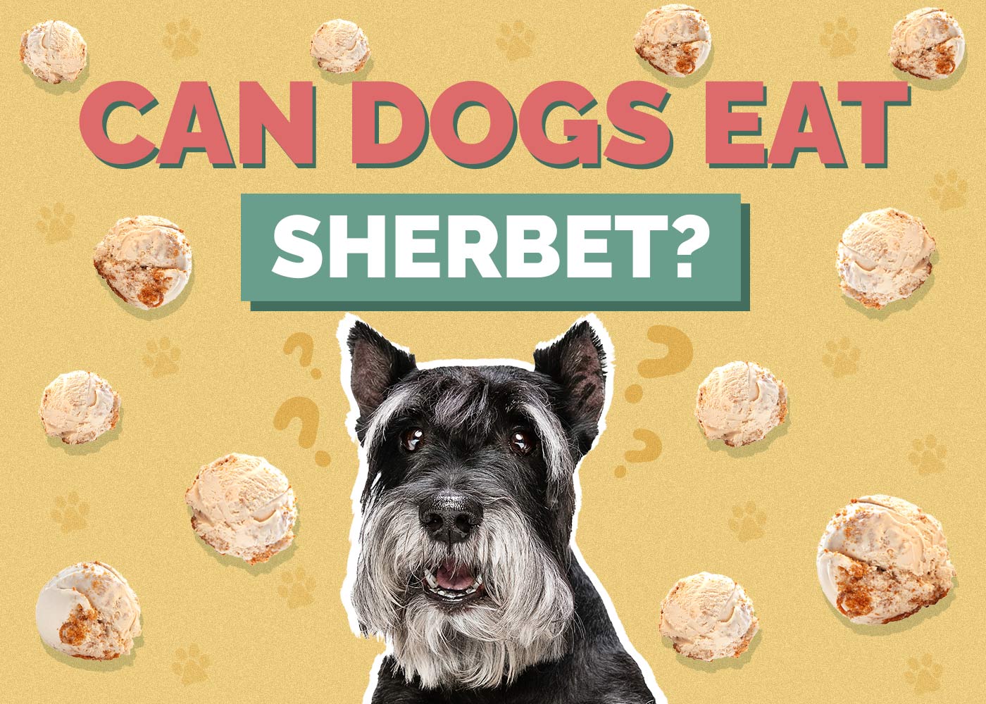 Can Dogs Eat Sherbet