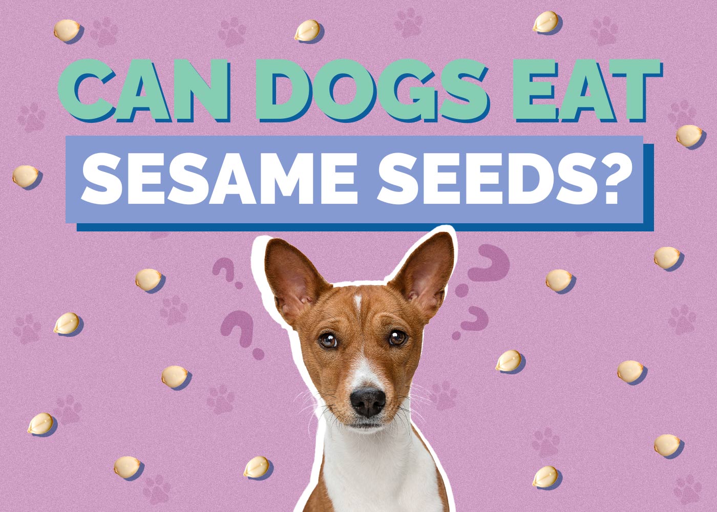Can Dogs Eat Sesame Seeds