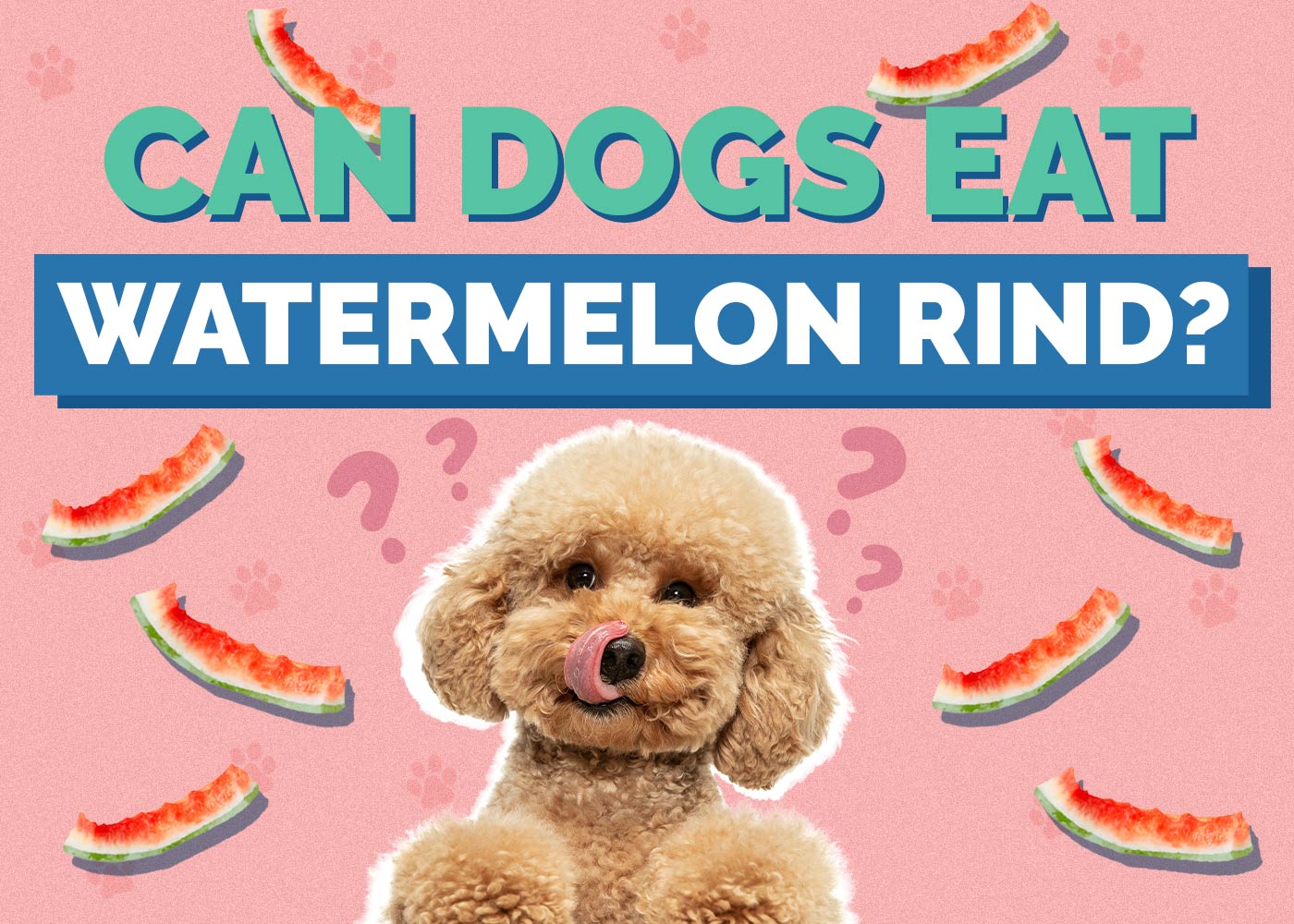 Can Dogs Eat Watermelon Rind