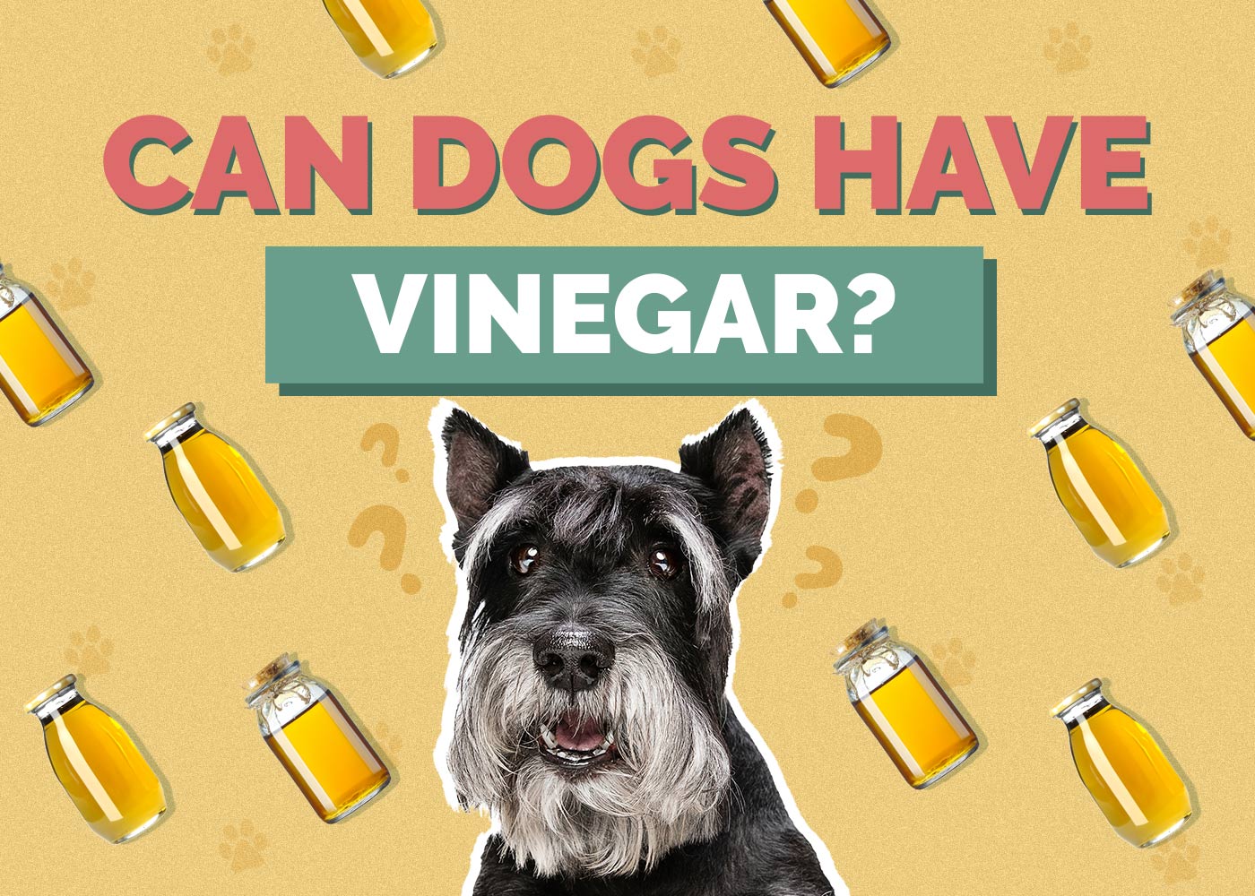 Can Dogs Have Vinegar
