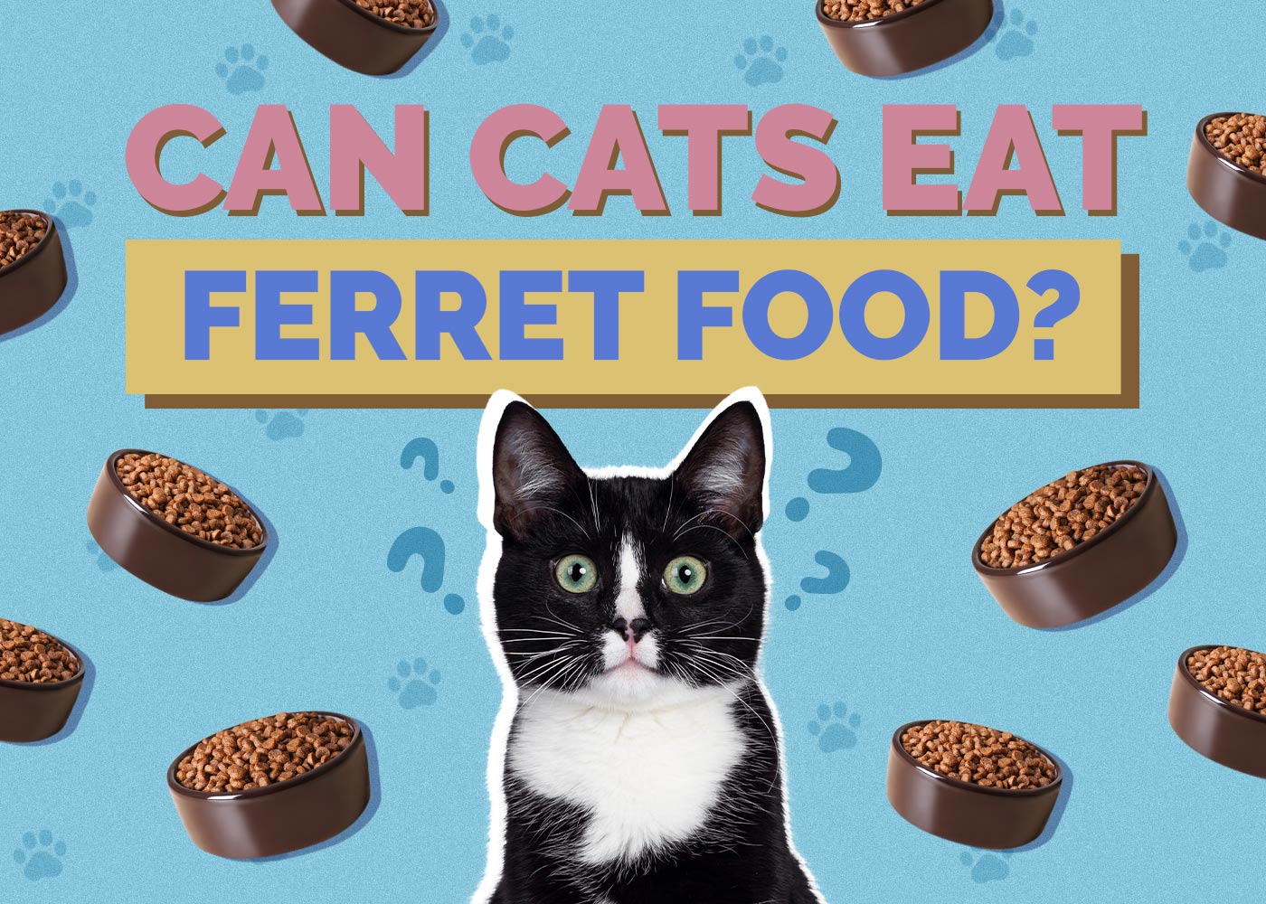 Can Cats Eat Ferret Food