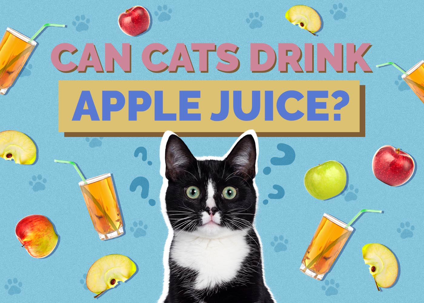 Can Cats Drink Apple Juice