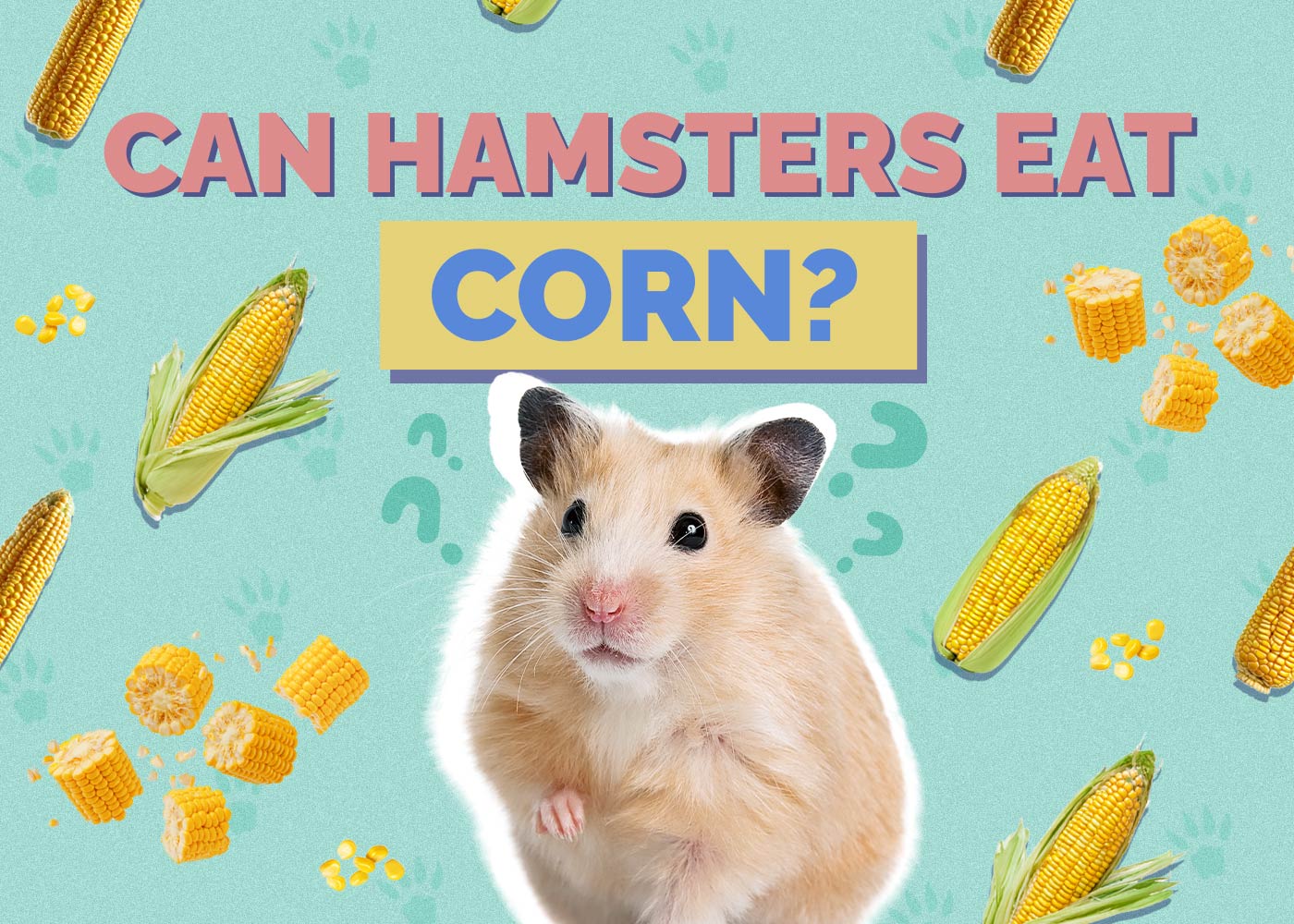 Can Hamsters Eat Corn