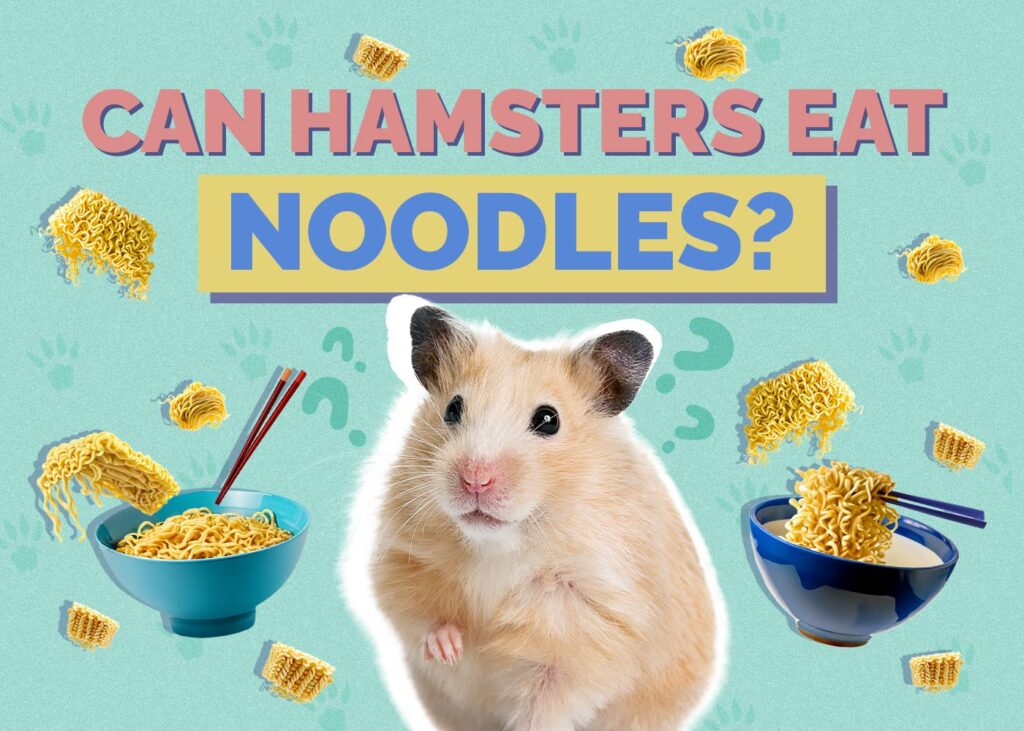 Can Hamsters Eat Noodles