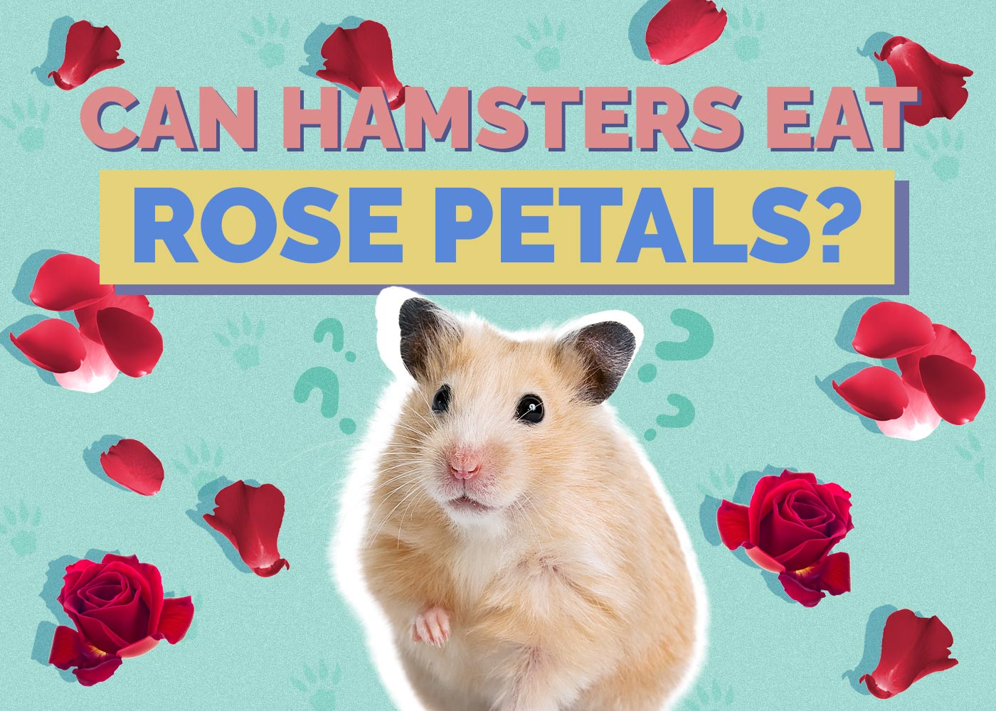 Can Hamsters Eat Rose Petals