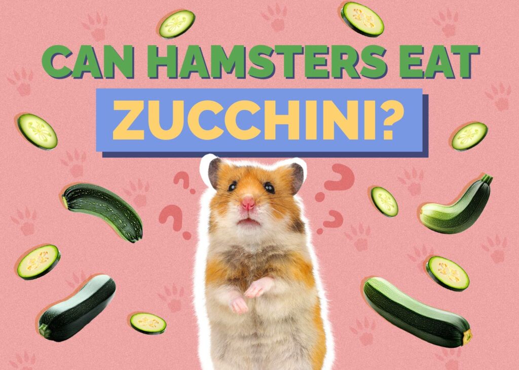 Can Hamsters Eat Zucchini
