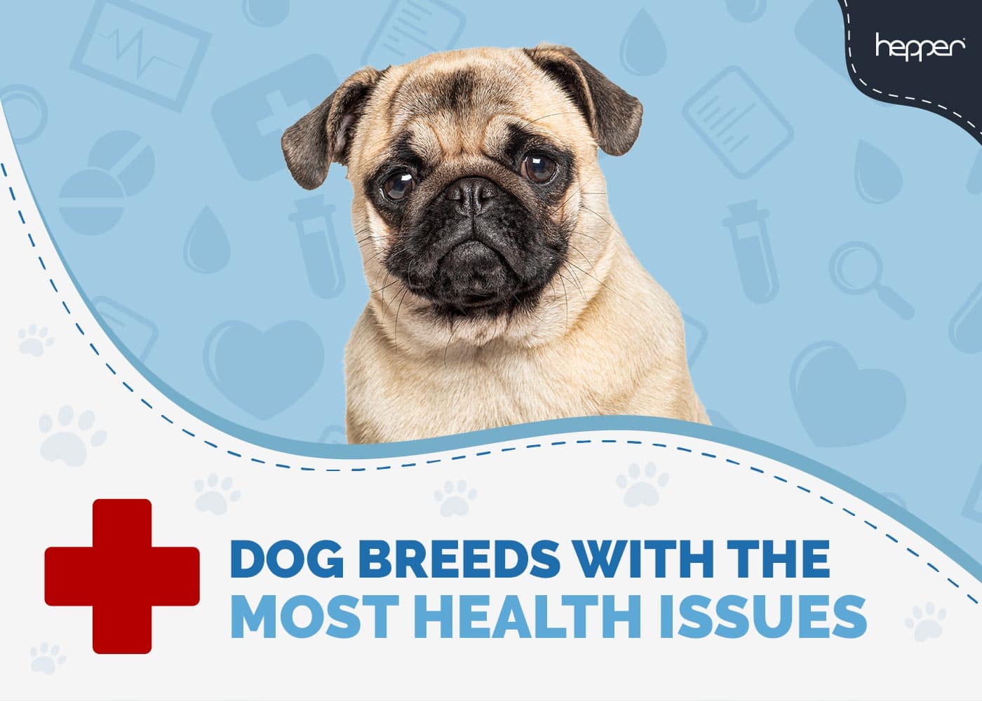 Unhealthiest Dog Breeds (With the Most Health Issues)