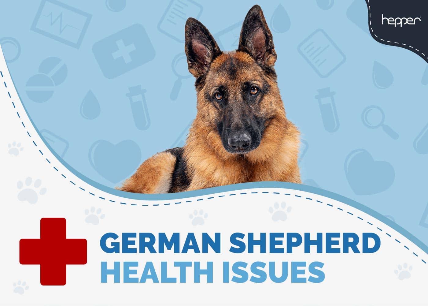 Common Health Problems for German Shepherds