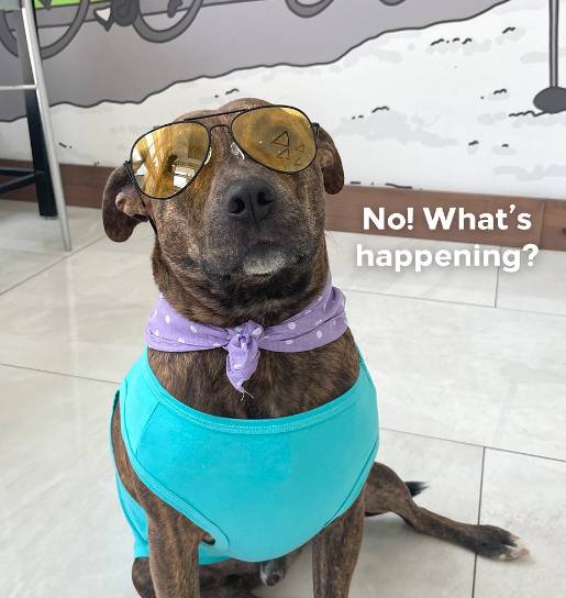 Hilton Garden Inn Winchester