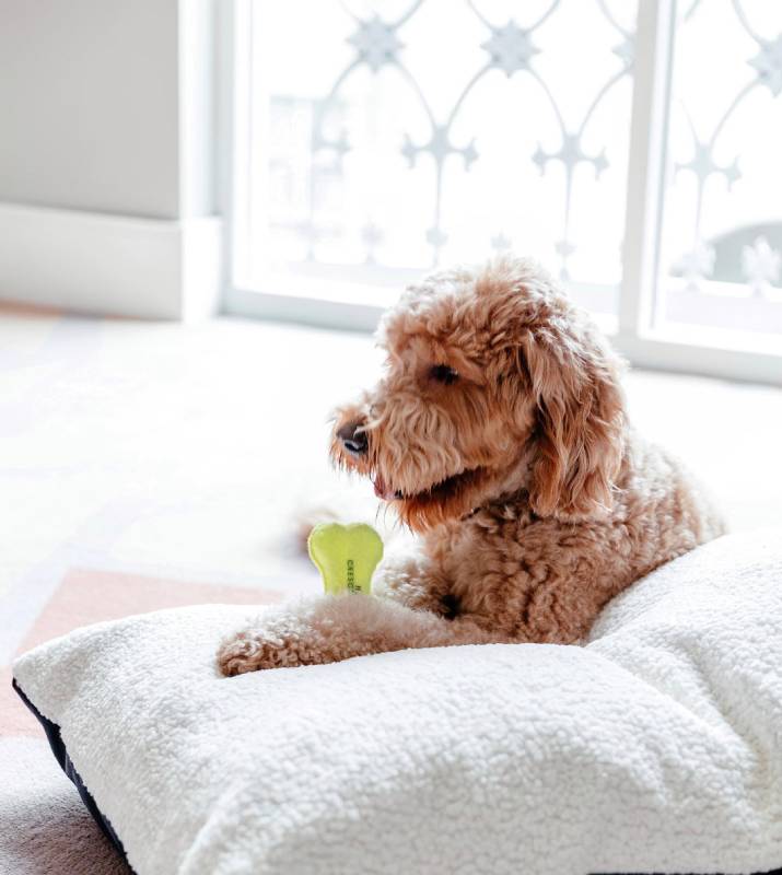 Hotel Crescent Court