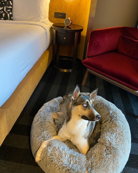 Hotel Indy, Indianapolis