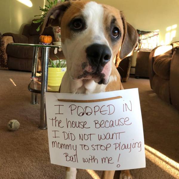I bet mommy soon stopped