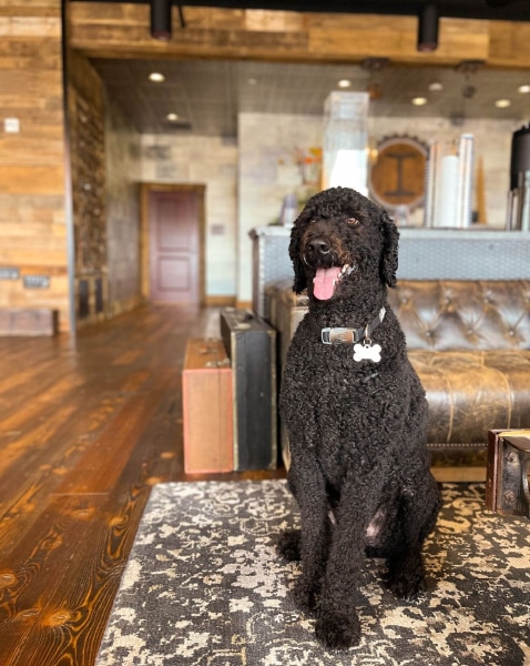 Ironworks Hotel Indianapolis