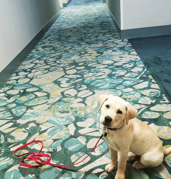 La Quinta Inn & Suites by Wyndham Winchester