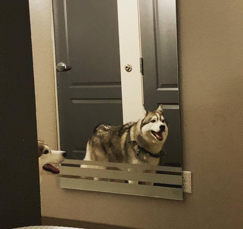 La Quinta by Wyndham Dallas Love Field