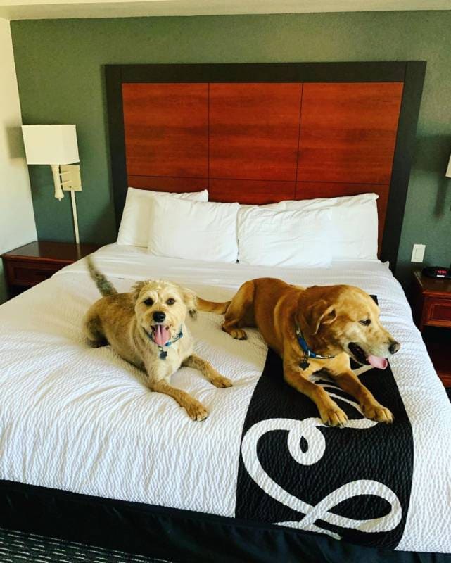 La Quinta by Wyndham Dallas North Central