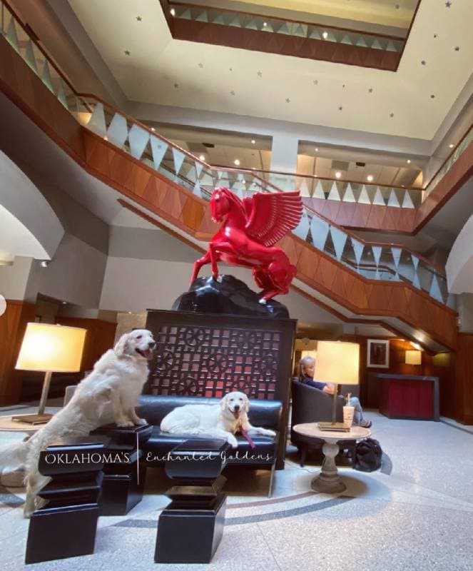 Magnolia Dallas Downtown