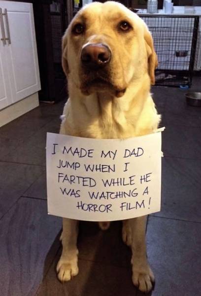 Maybe it was a nervous reaction
